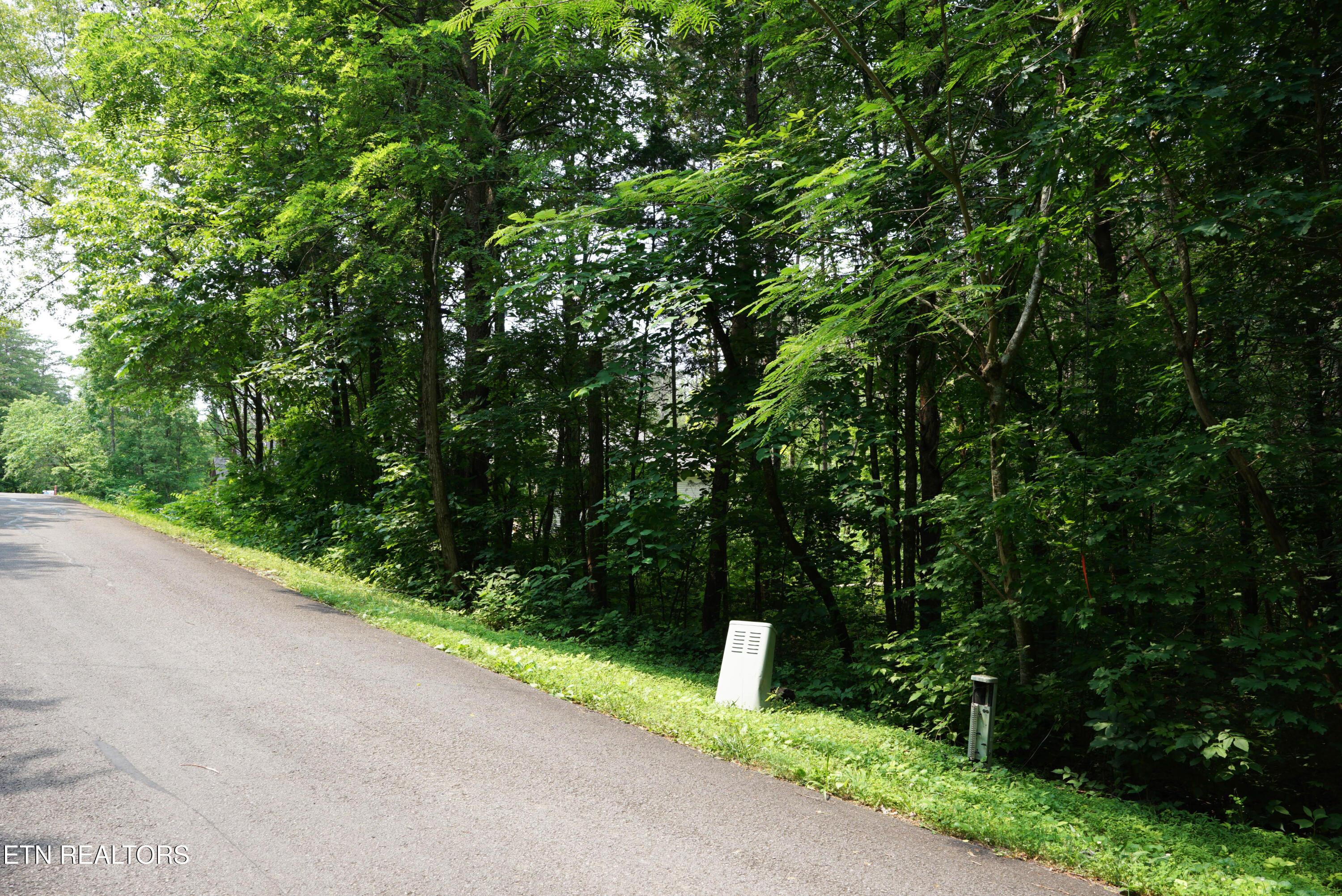 100 Elohi Lane, Loudon, TN - Fort Loudoun and Tellico Lake Real Estate - Image# 4