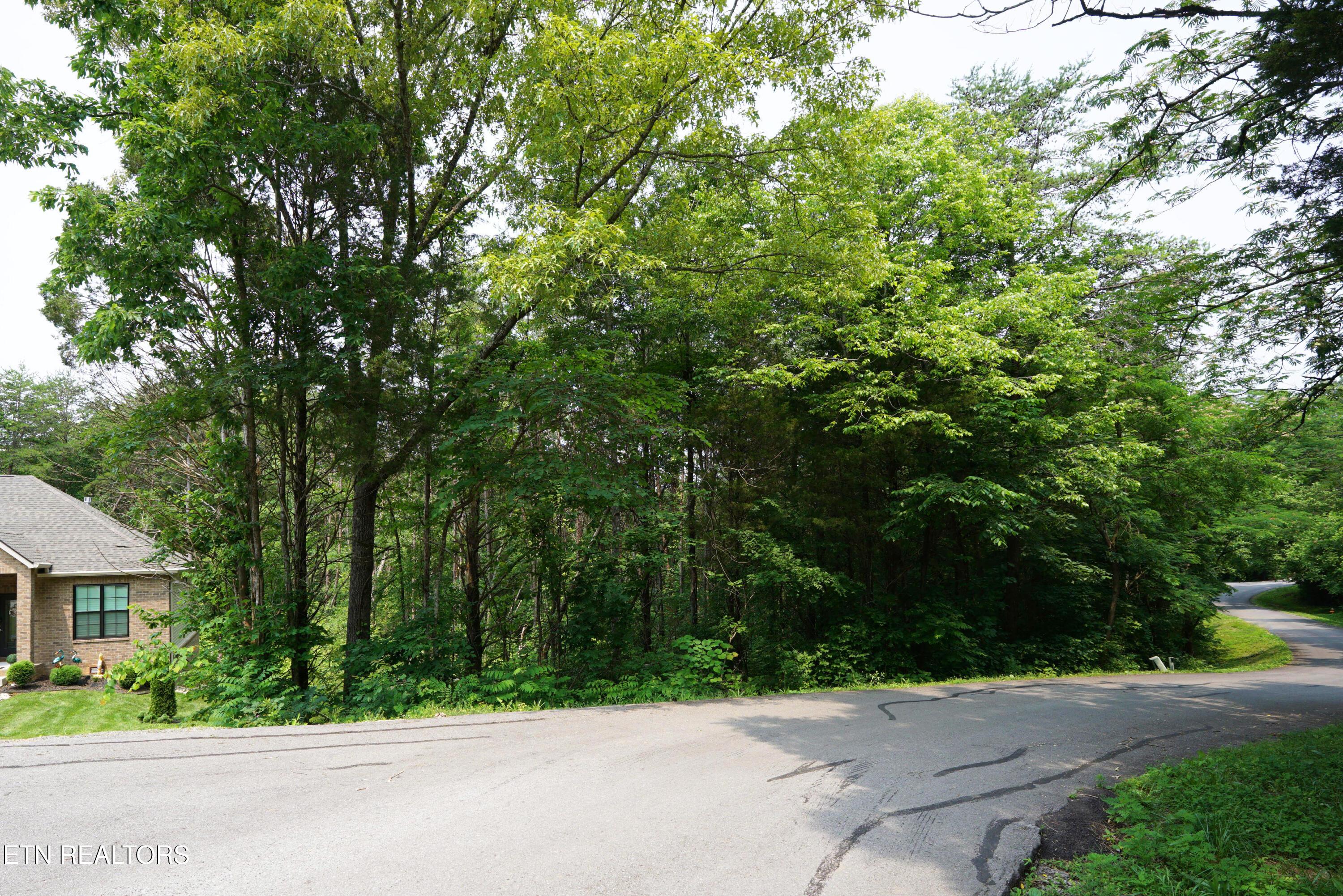 100 Elohi Lane, Loudon, TN - Fort Loudoun and Tellico Lake Real Estate - Image# 6