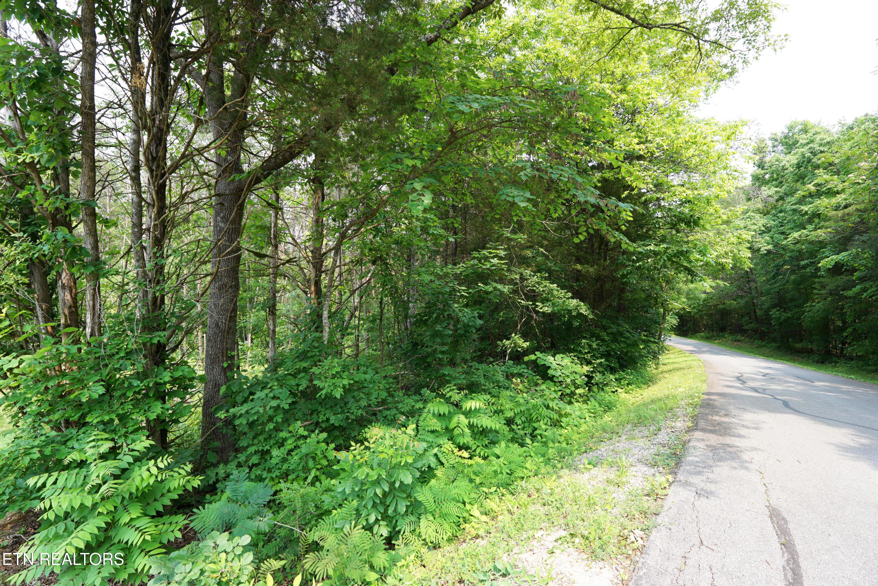 100 Elohi Lane, Loudon, TN - Fort Loudoun and Tellico Lake Real Estate - Image# 7