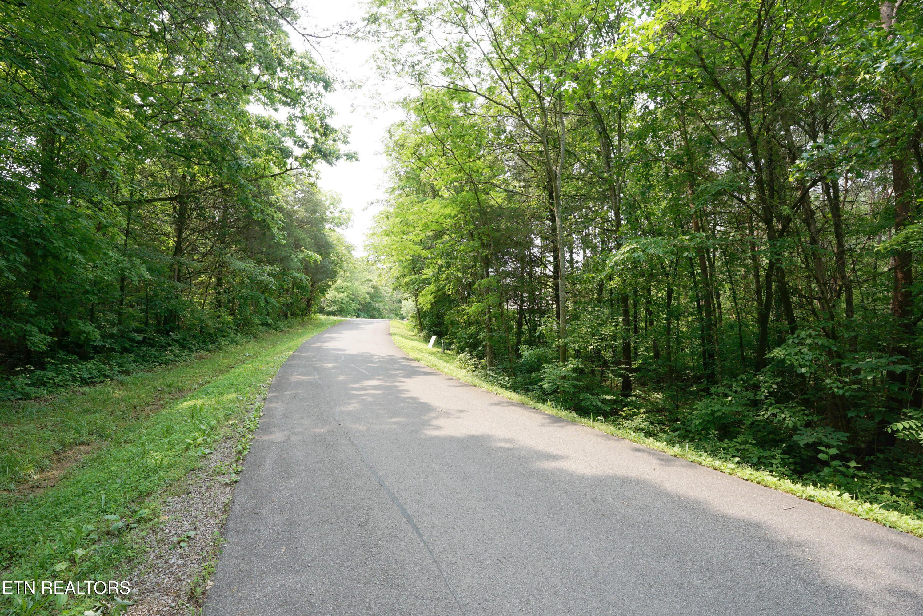 100 Elohi Lane, Loudon, TN - Fort Loudoun and Tellico Lake Real Estate - Image# 8