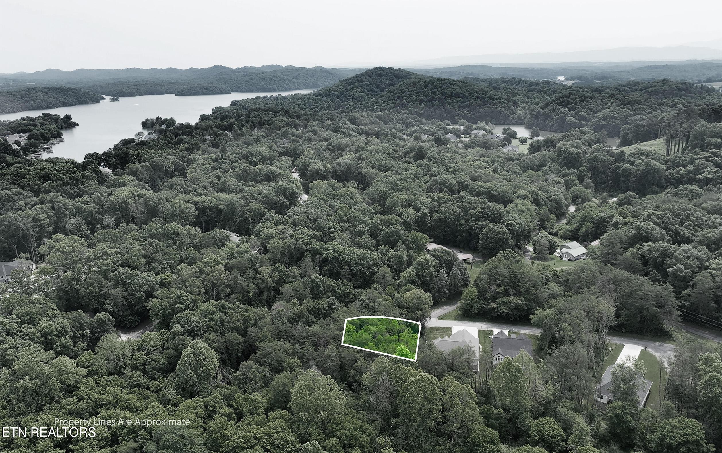 100 Elohi Lane, Loudon, TN - Fort Loudoun and Tellico Lake Real Estate - Image# 2