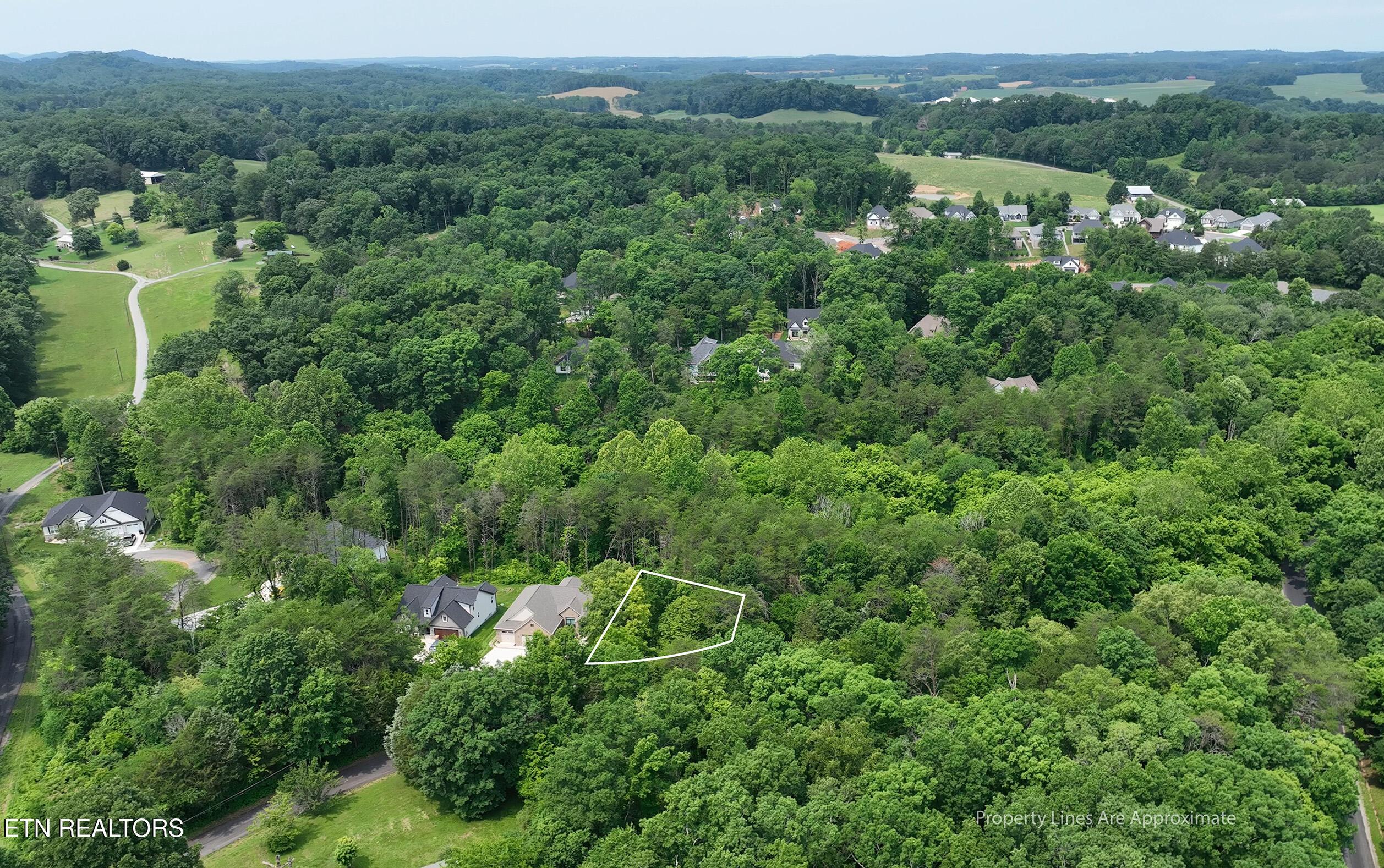 100 Elohi Lane, Loudon, TN - Fort Loudoun and Tellico Lake Real Estate - Image# 3