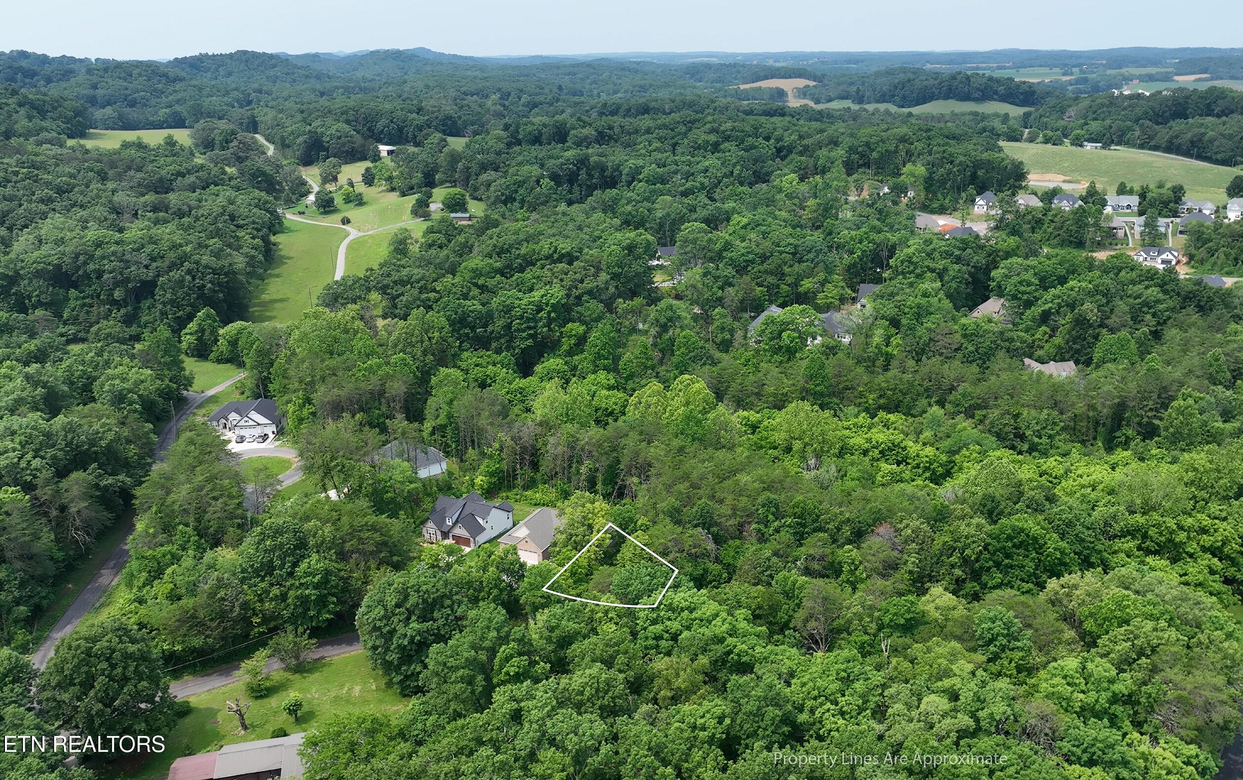 100 Elohi Lane, Loudon, TN - Fort Loudoun and Tellico Lake Real Estate - Image# 11