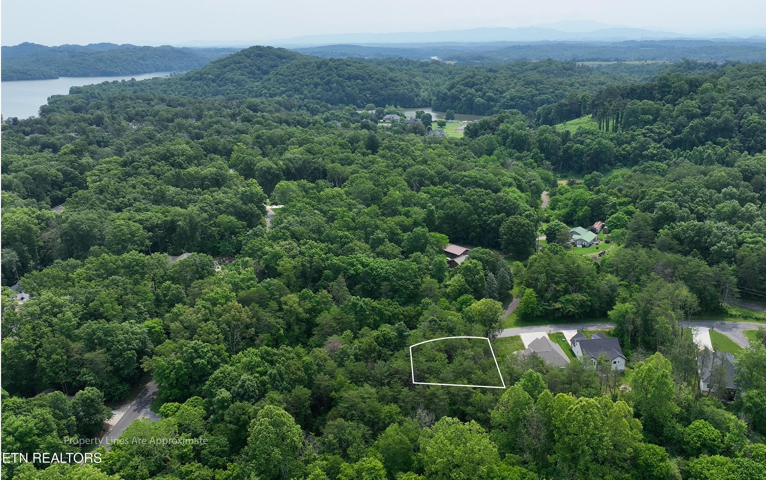 100 Elohi Lane, Loudon, TN - Fort Loudoun and Tellico Lake Real Estate - Image# 13