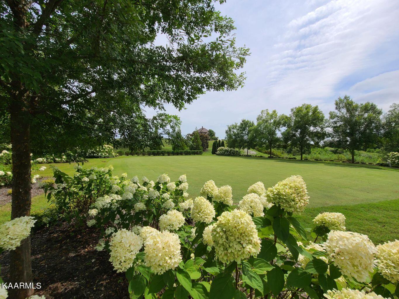 167 Commodore Drive, Lenoir City, TN - Fort Loudoun and Tellico Lake Real Estate - Image# 15