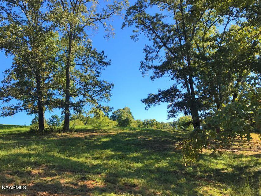 605 Gallery Court, Lenoir City, TN - Fort Loudoun and Tellico Lake Real Estate - Image# 9