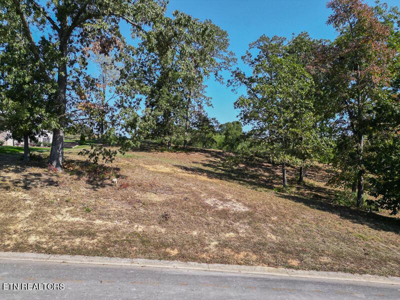 605 Gallery Court, Lenoir City, TN - Fort Loudoun and Tellico Lake Real Estate - Image# 1