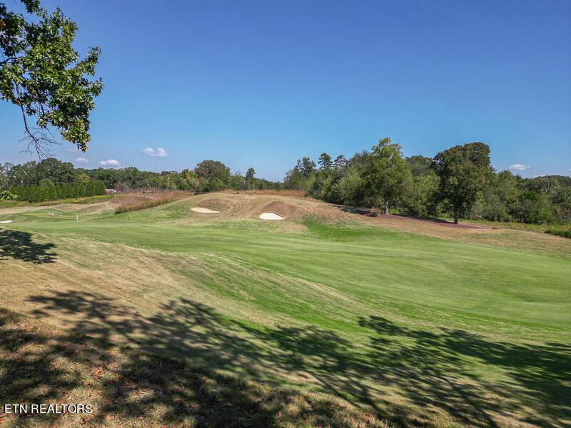 605 Gallery Court, Lenoir City, TN - Fort Loudoun and Tellico Lake Real Estate - Image# 8
