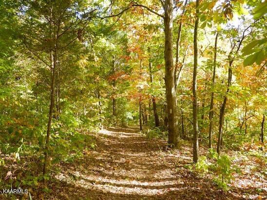 973 Zepher Drive, Lenoir City, TN - Fort Loudoun and Tellico Lake Real Estate - Image# 24