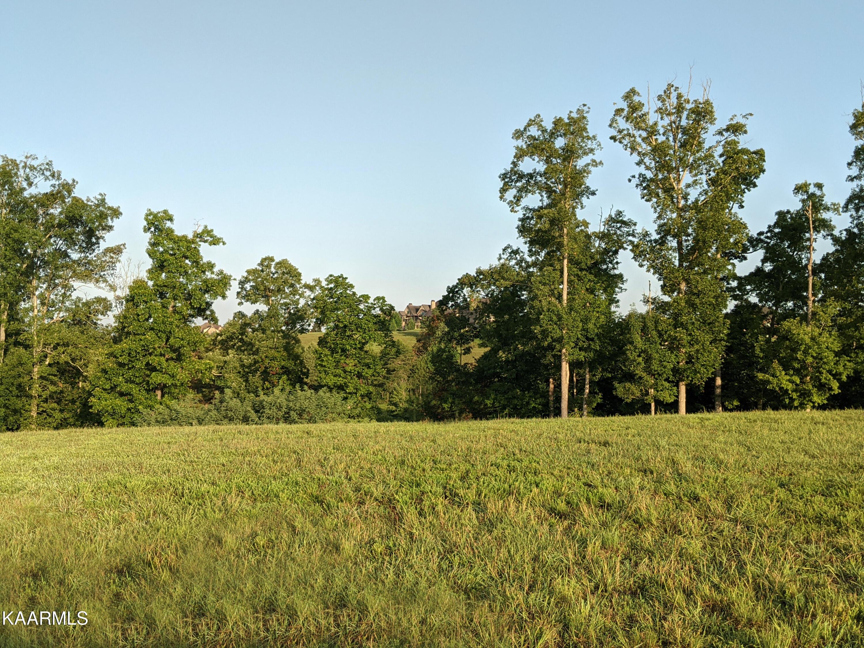 898 Bower Court, Lenoir City, TN - Fort Loudoun and Tellico Lake Real Estate - Image# 9