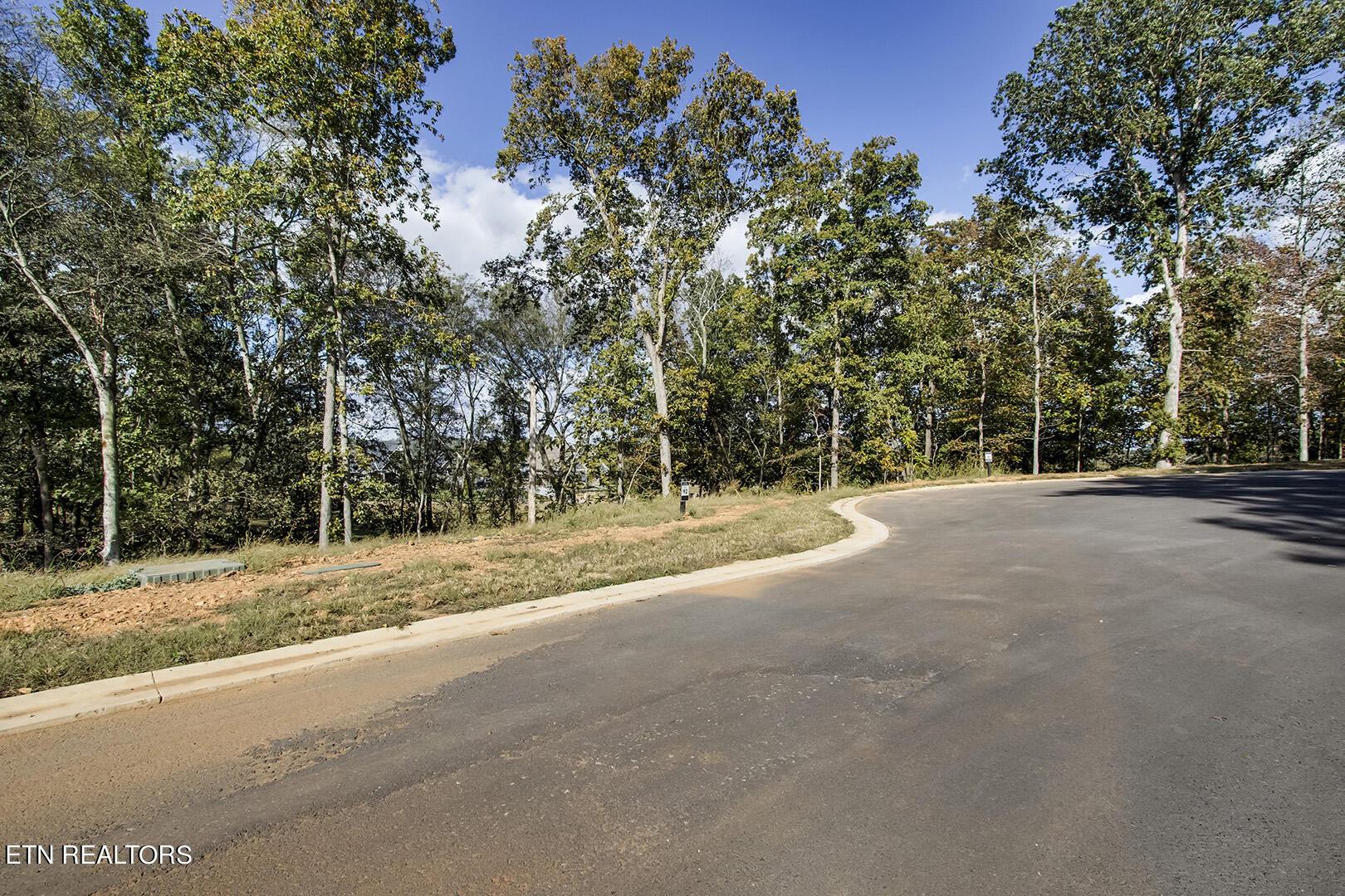173 Keho Court, Loudon, TN - Fort Loudoun and Tellico Lake Real Estate - Image# 6