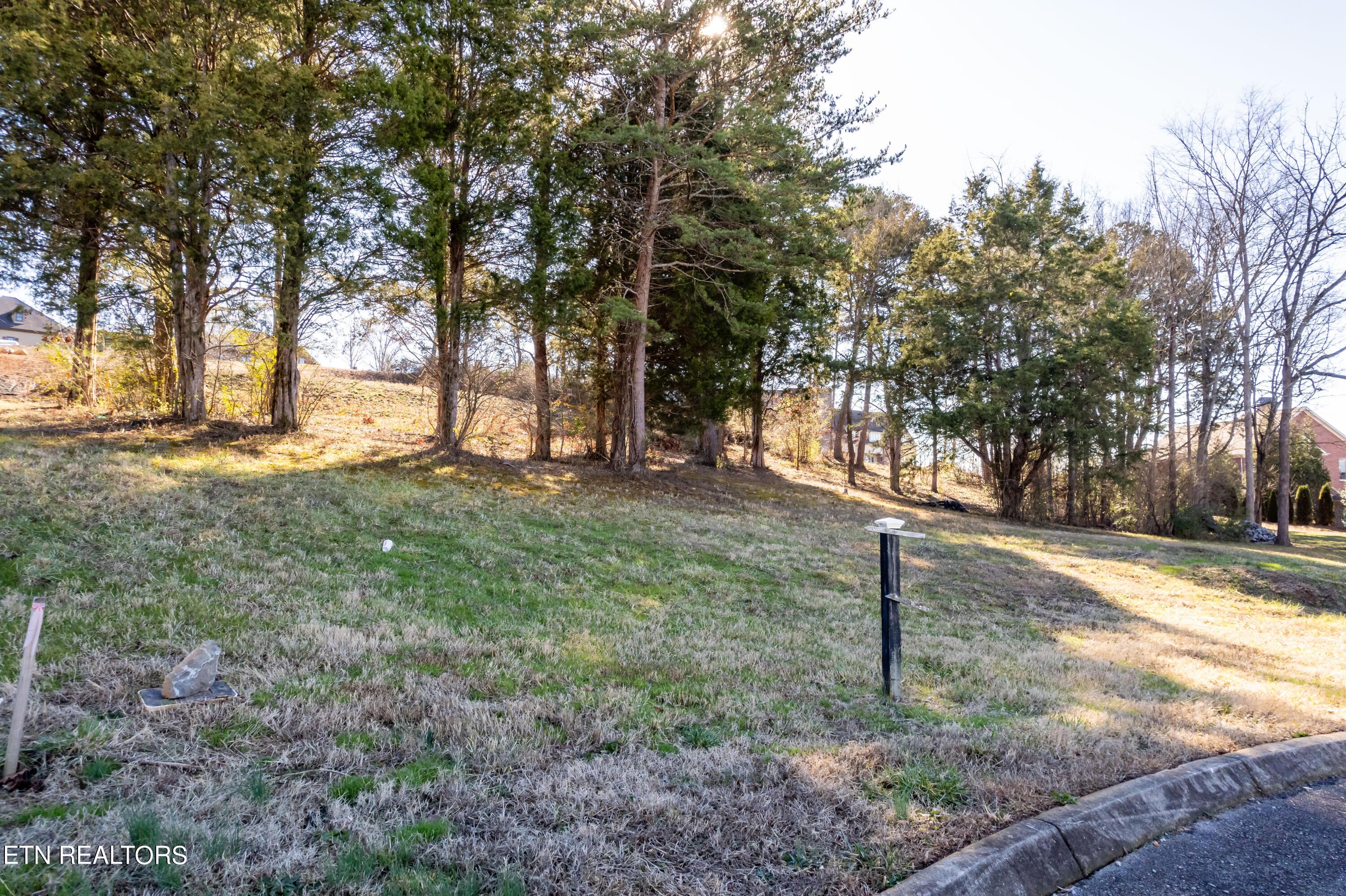 12141 Rushmere Lane, Knoxville, TN - Fort Loudoun and Tellico Lake Real Estate - Image# 14