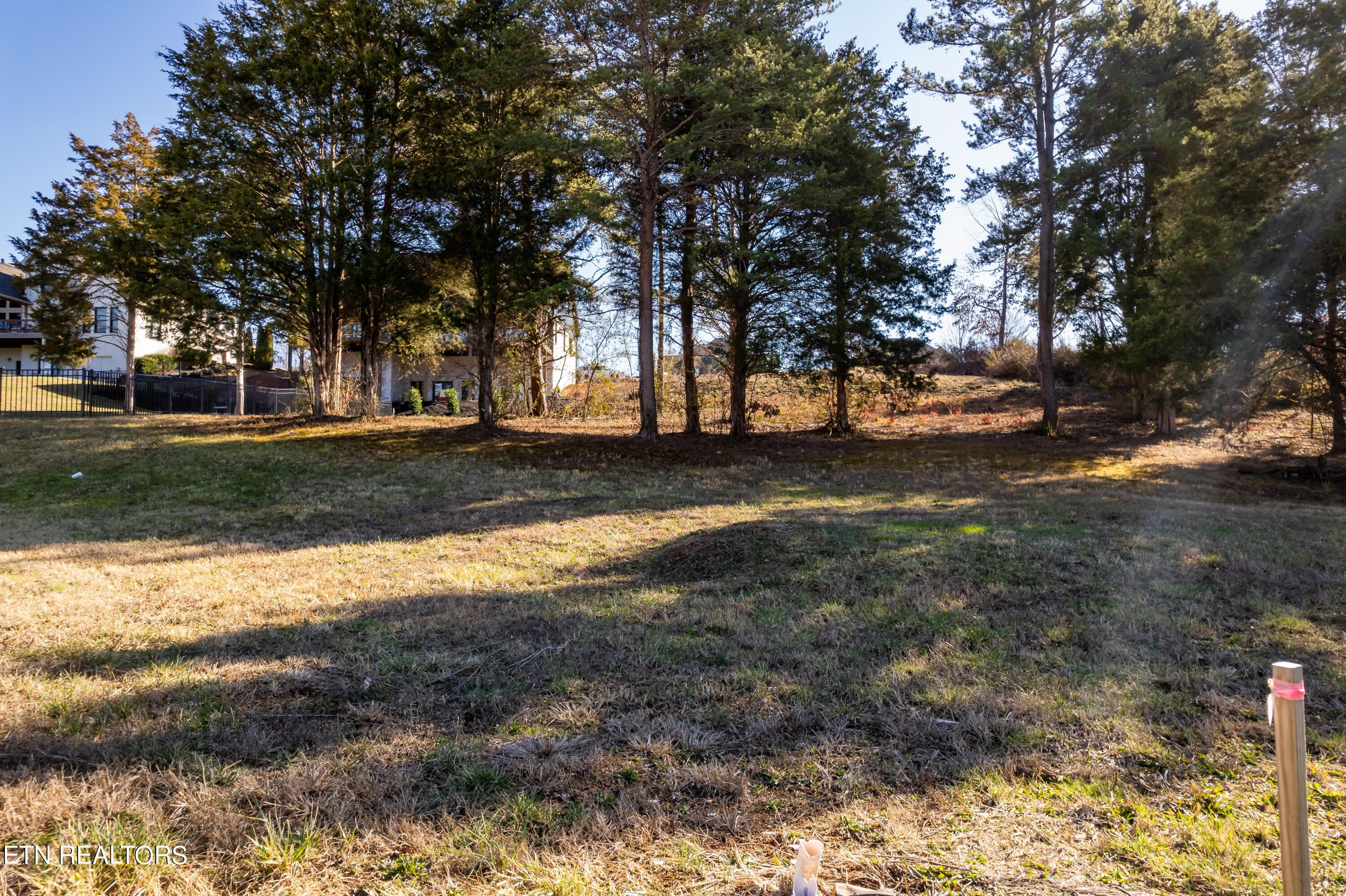 12141 Rushmere Lane, Knoxville, TN - Fort Loudoun and Tellico Lake Real Estate - Image# 15