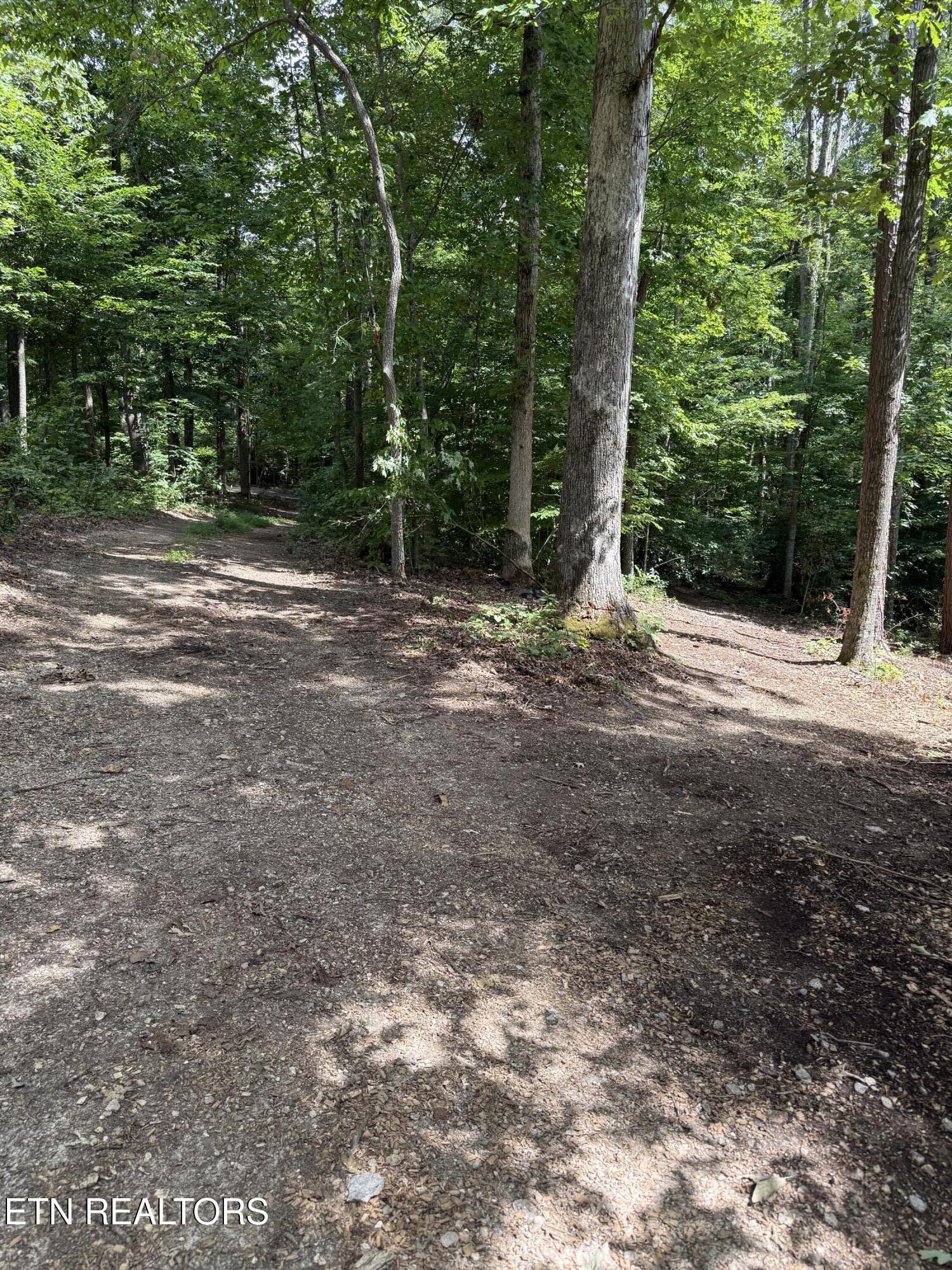 Fort Loudoun and Tellico Lake Real Estate - Image# 12