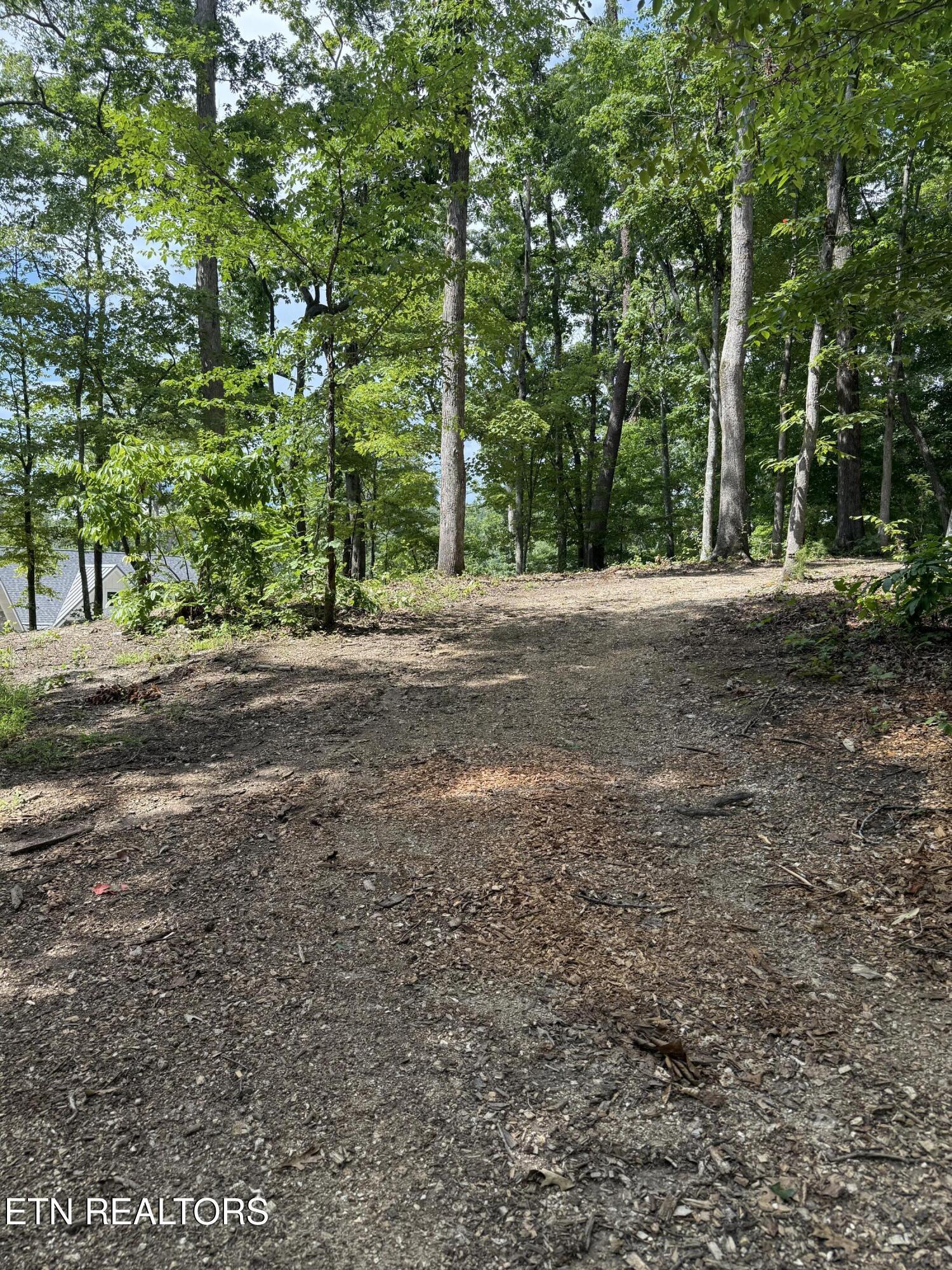 Fort Loudoun and Tellico Lake Real Estate - Image# 16