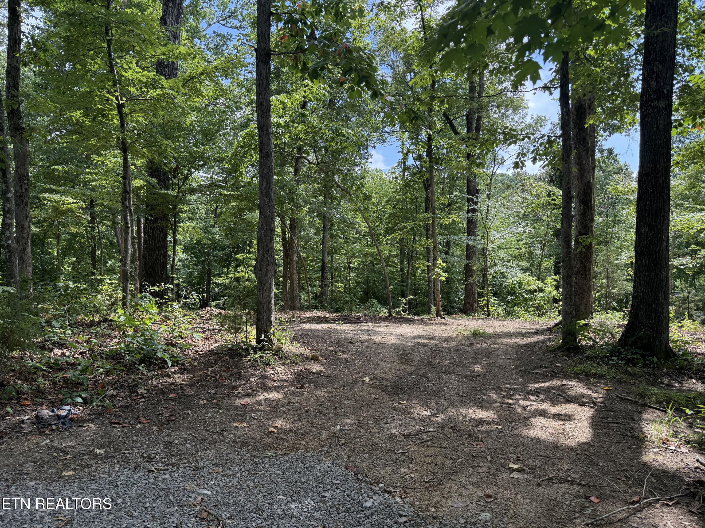 Fort Loudoun and Tellico Lake Real Estate - Image# 24