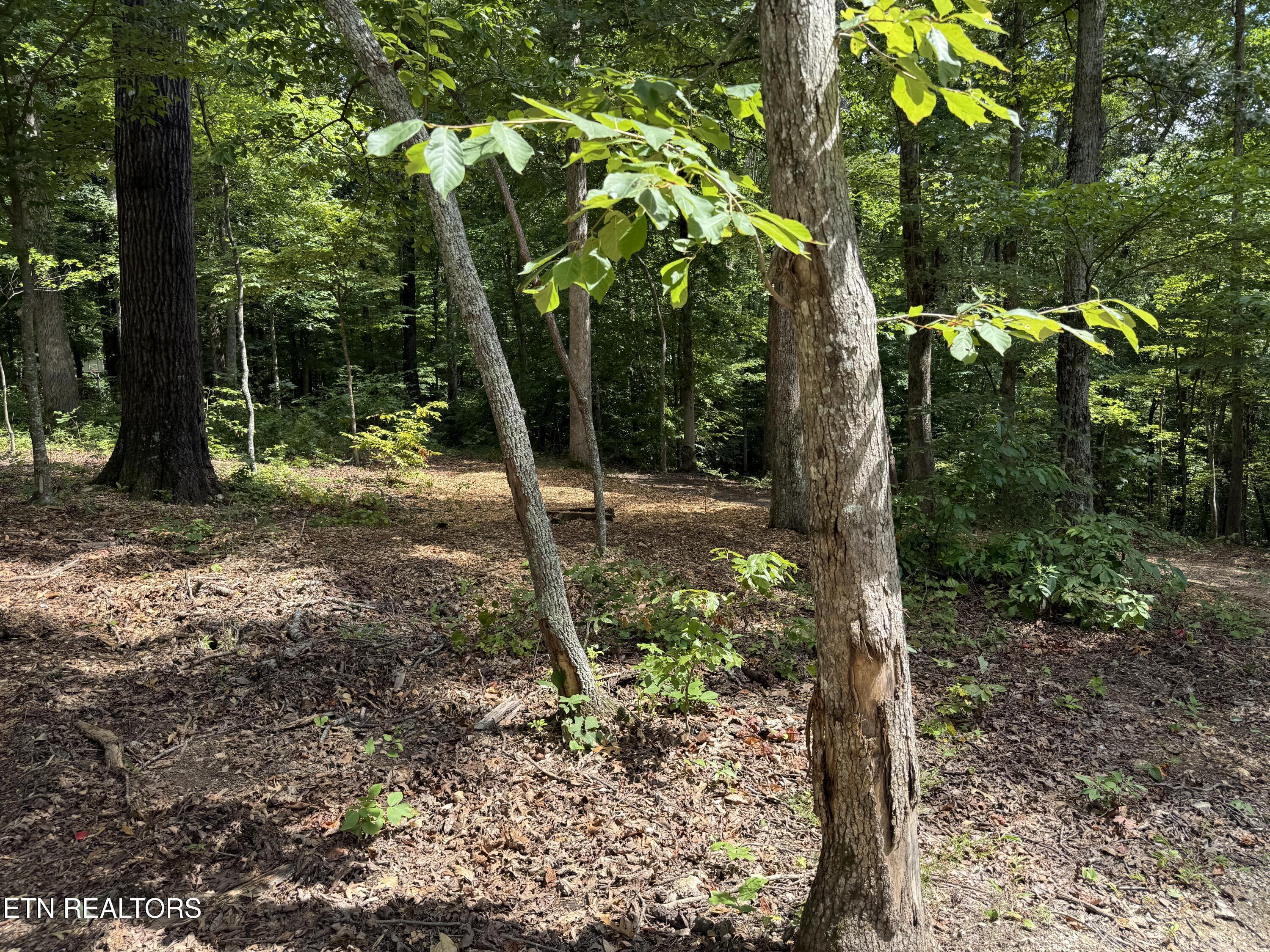 Fort Loudoun and Tellico Lake Real Estate - Image# 13