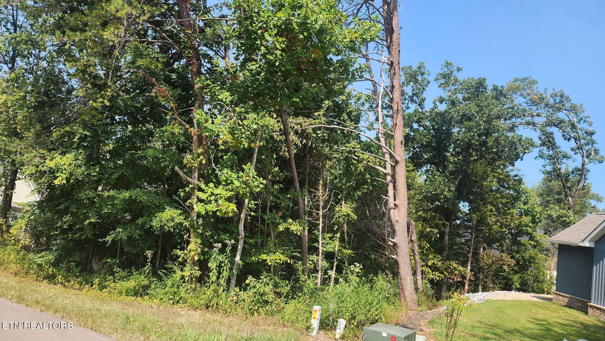 130 Gadusi Circle, Loudon, TN - Fort Loudoun and Tellico Lake Real Estate - Image# 2