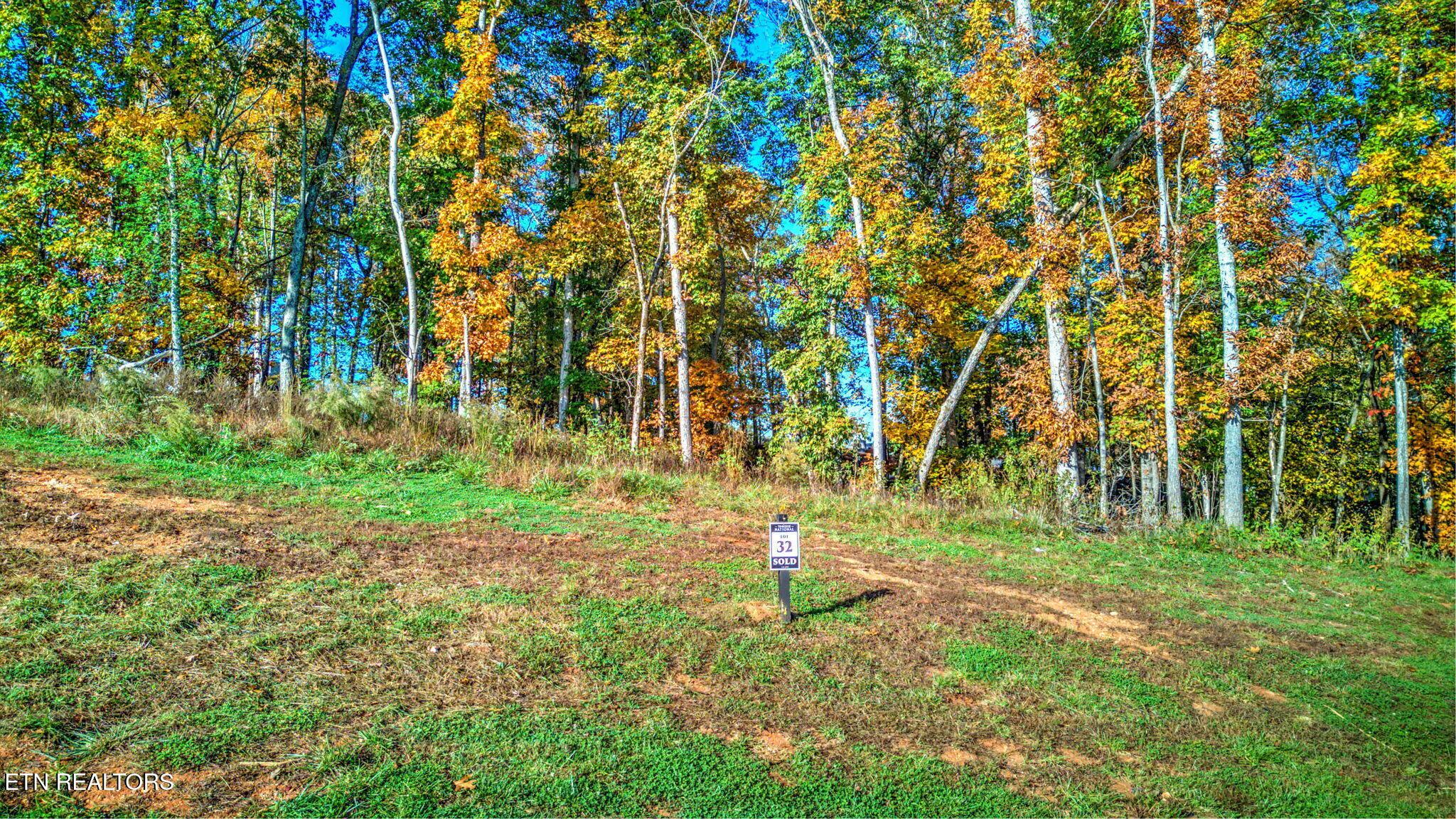 180 17th Drive, Loudon, TN - Fort Loudoun and Tellico Lake Real Estate - Image# 6