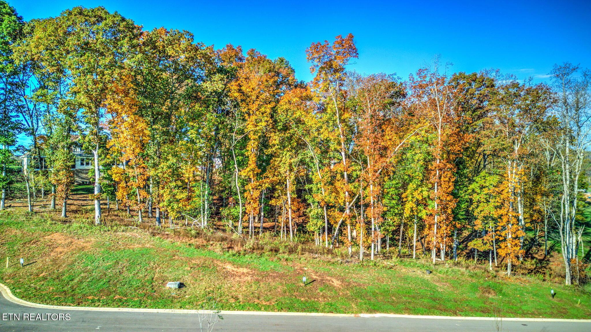 180 17th Drive, Loudon, TN - Fort Loudoun and Tellico Lake Real Estate - Image# 4