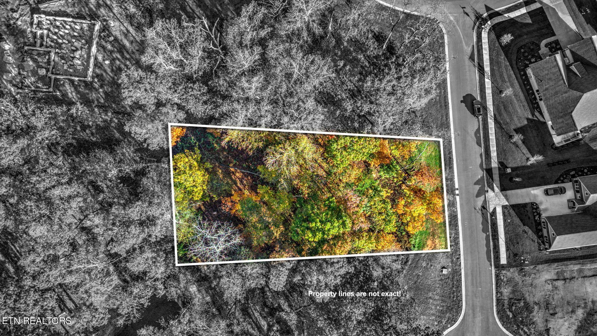 180 17th Drive, Loudon, TN - Fort Loudoun and Tellico Lake Real Estate - Image# 7