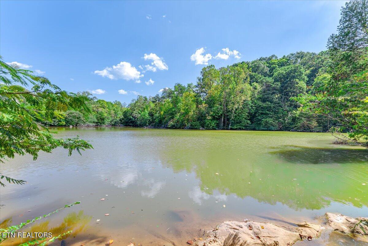 941 Emory Church Rd, Knoxville, TN - Fort Loudoun and Tellico Lake Real Estate - Image# 61