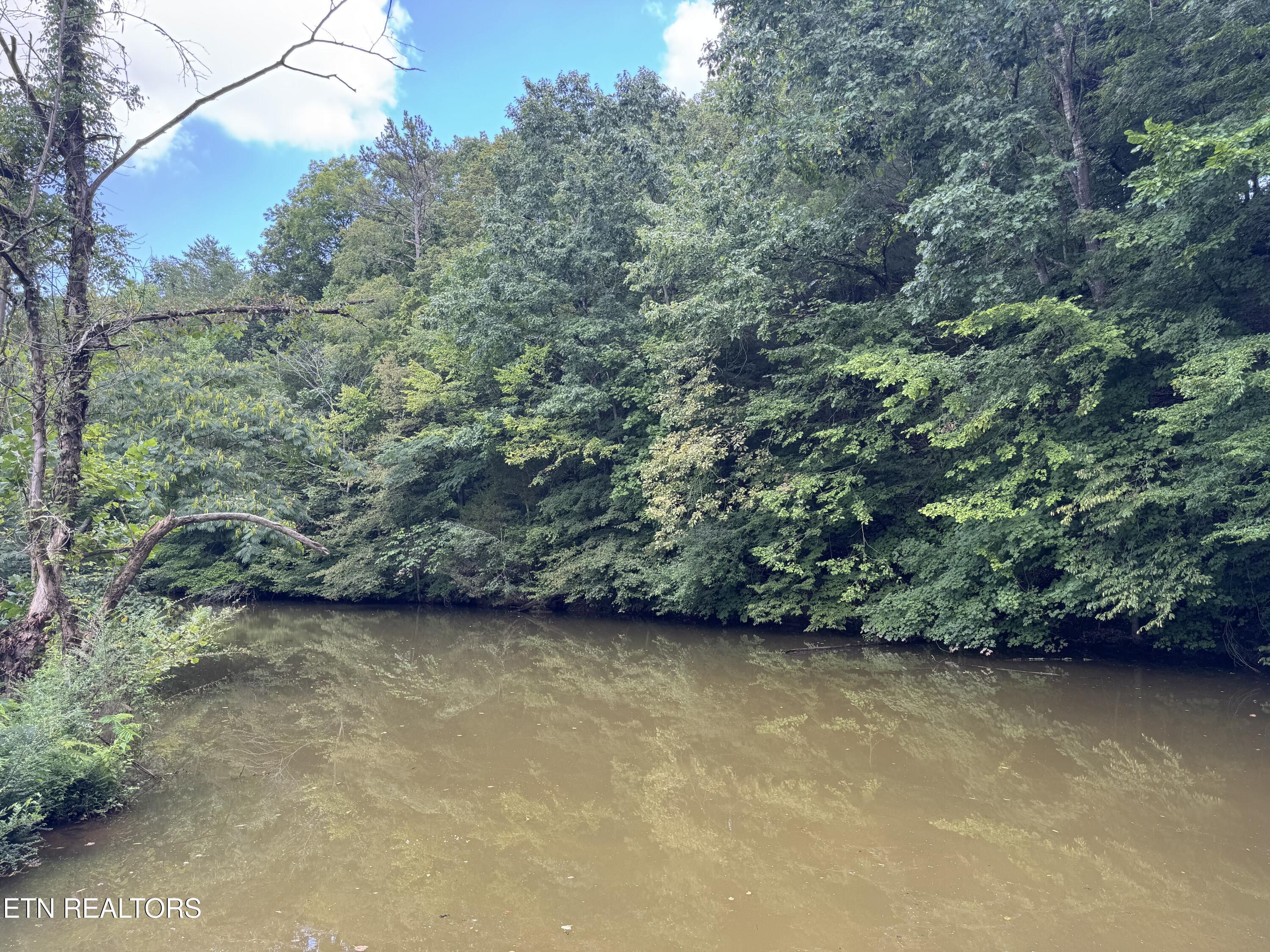 Fort Loudoun and Tellico Lake Real Estate - Image# 25
