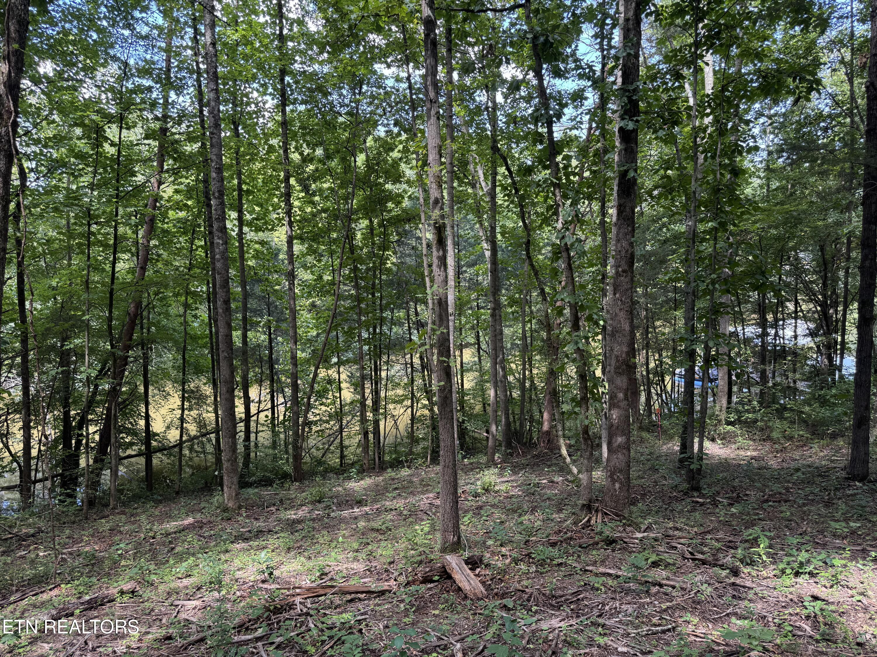 Fort Loudoun and Tellico Lake Real Estate - Image# 27