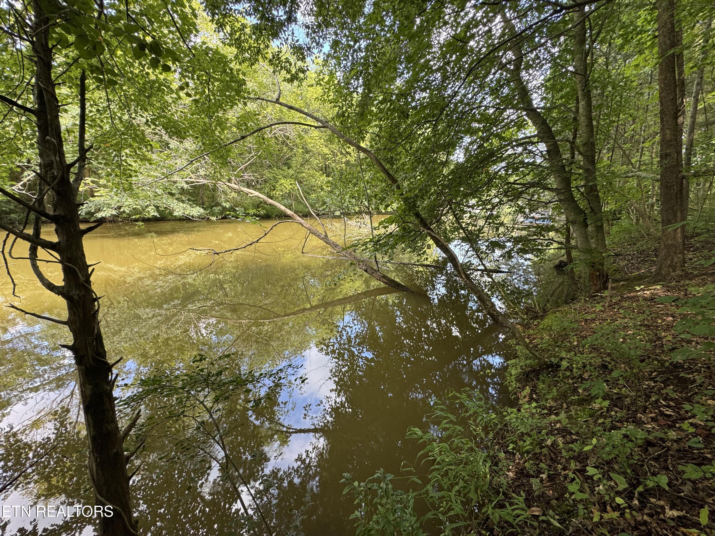 Fort Loudoun and Tellico Lake Real Estate - Image# 31