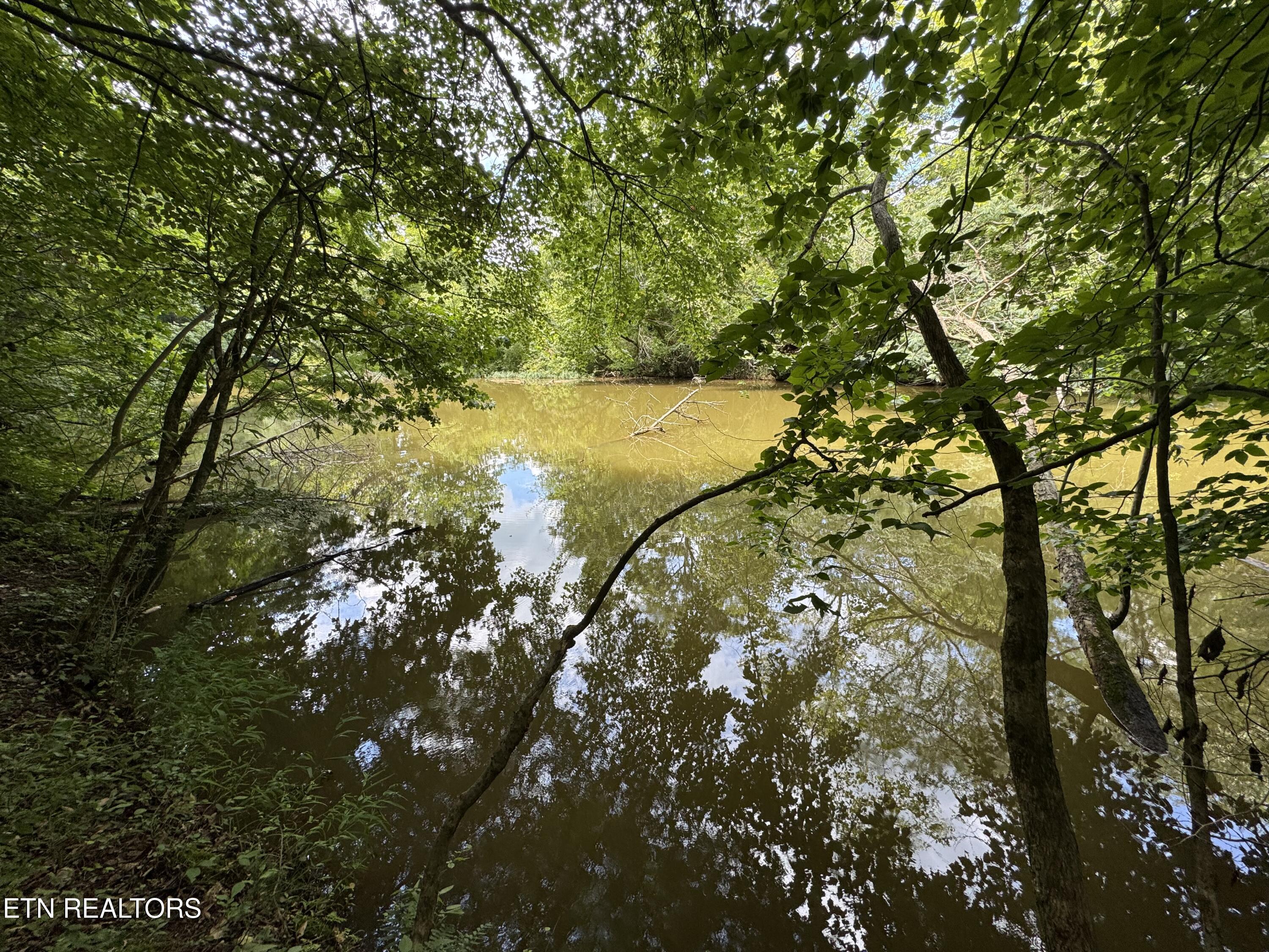Fort Loudoun and Tellico Lake Real Estate - Image# 33