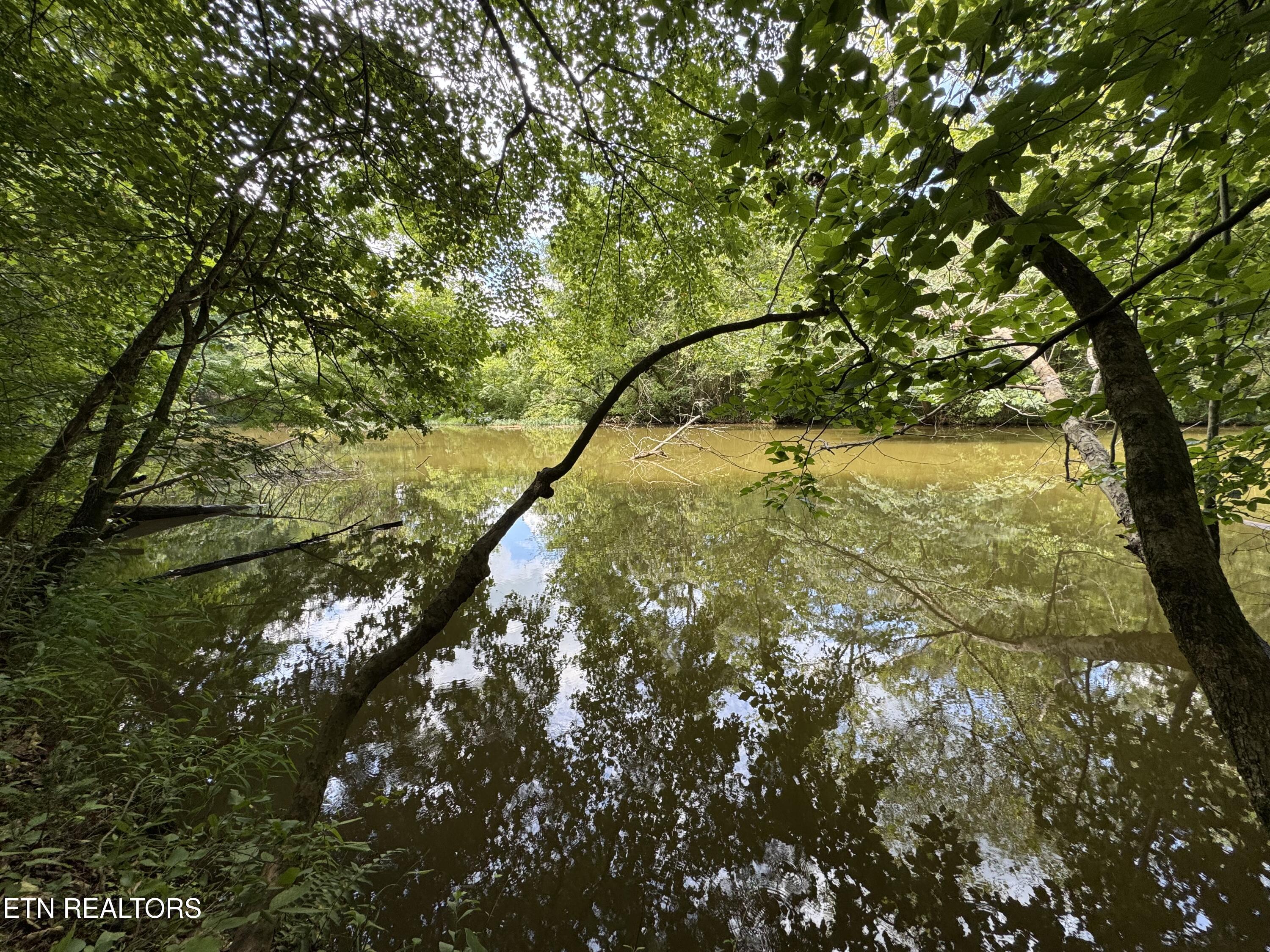 Fort Loudoun and Tellico Lake Real Estate - Image# 35
