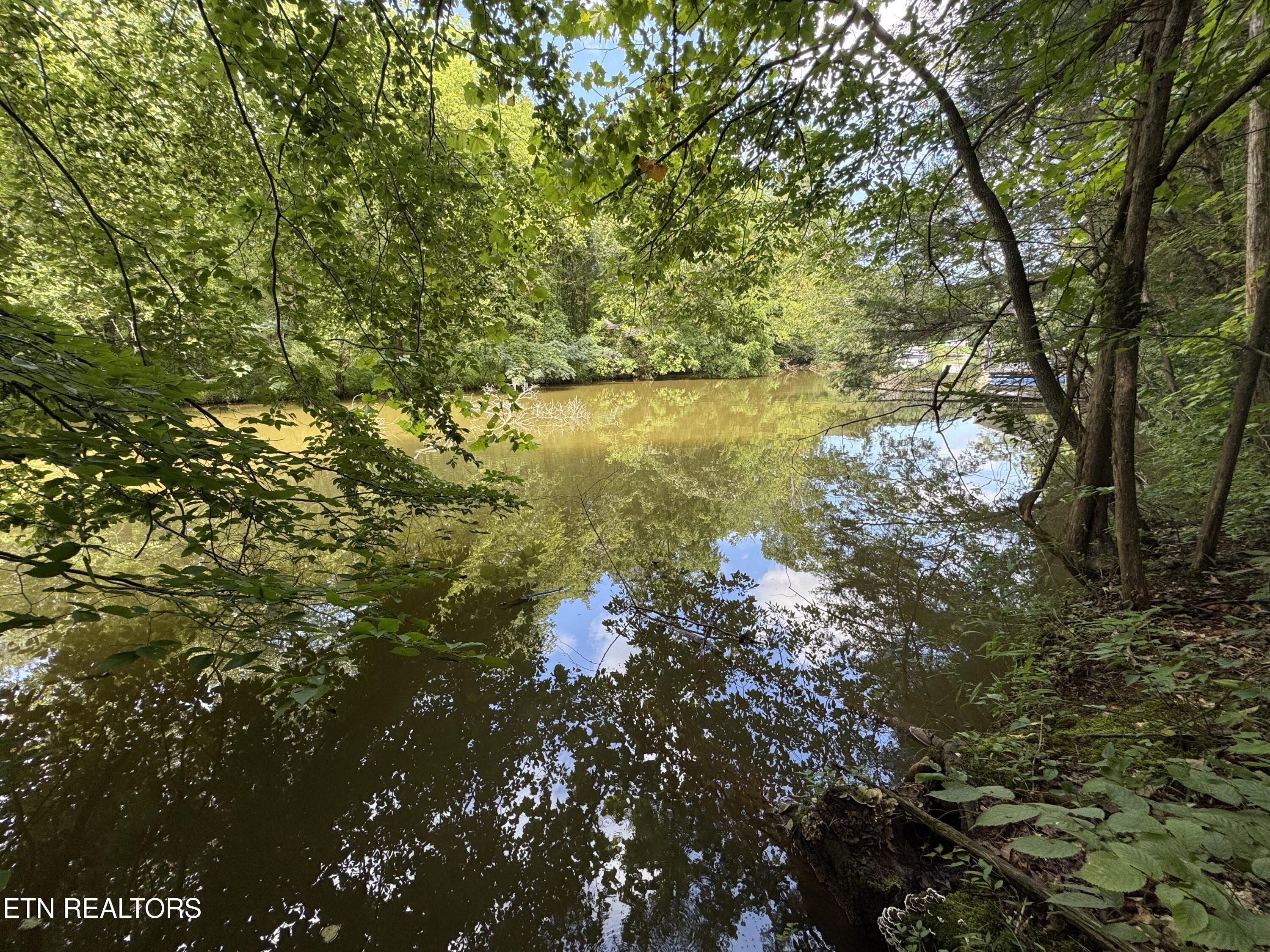 Fort Loudoun and Tellico Lake Real Estate - Image# 43