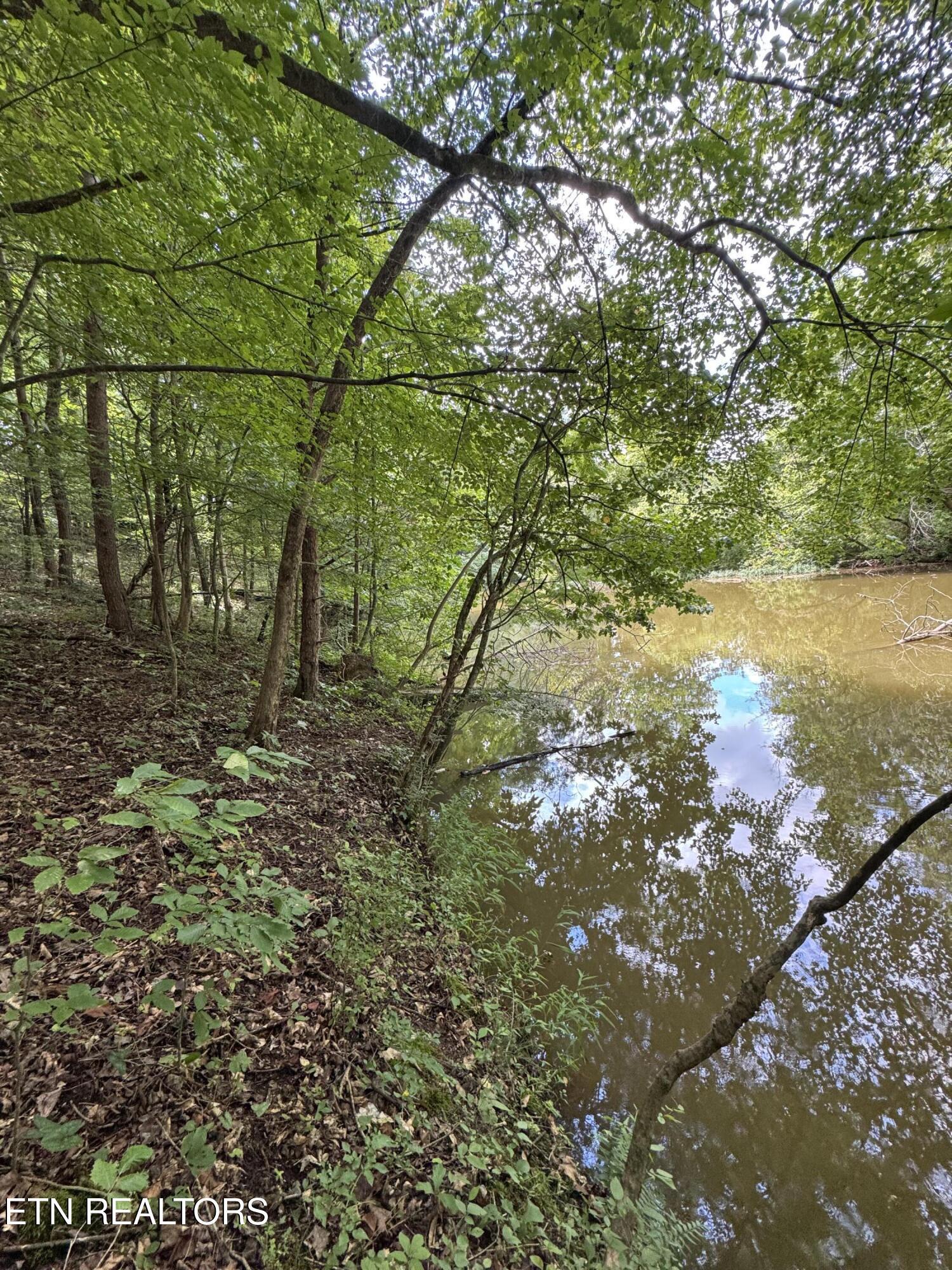 Fort Loudoun and Tellico Lake Real Estate - Image# 37