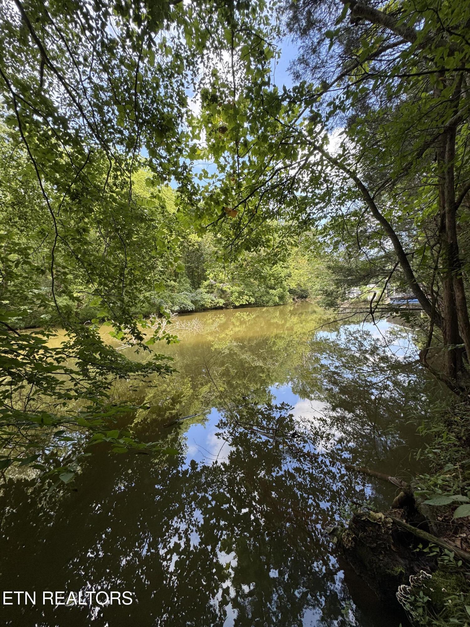 Fort Loudoun and Tellico Lake Real Estate - Image# 39