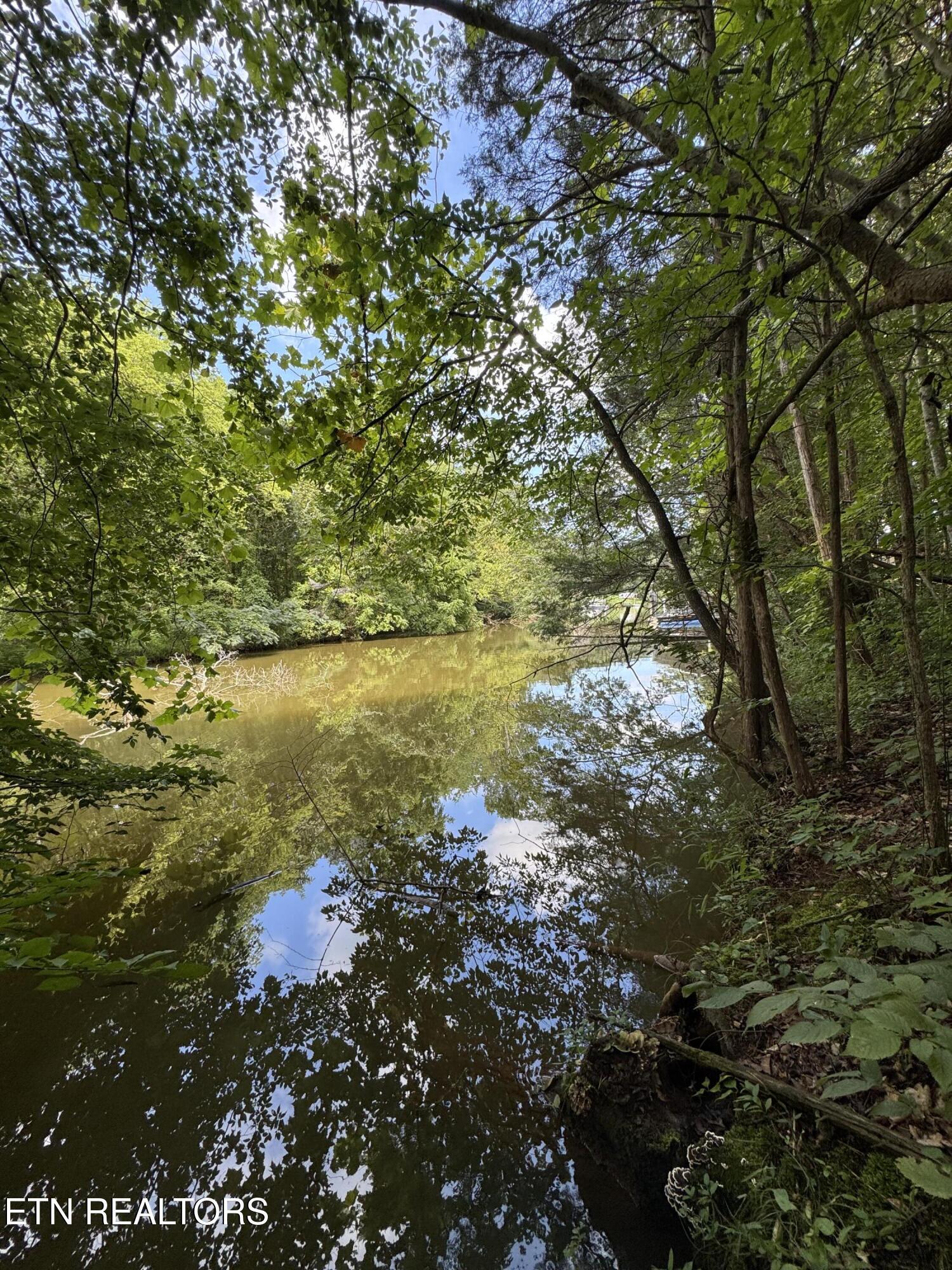 Fort Loudoun and Tellico Lake Real Estate - Image# 41