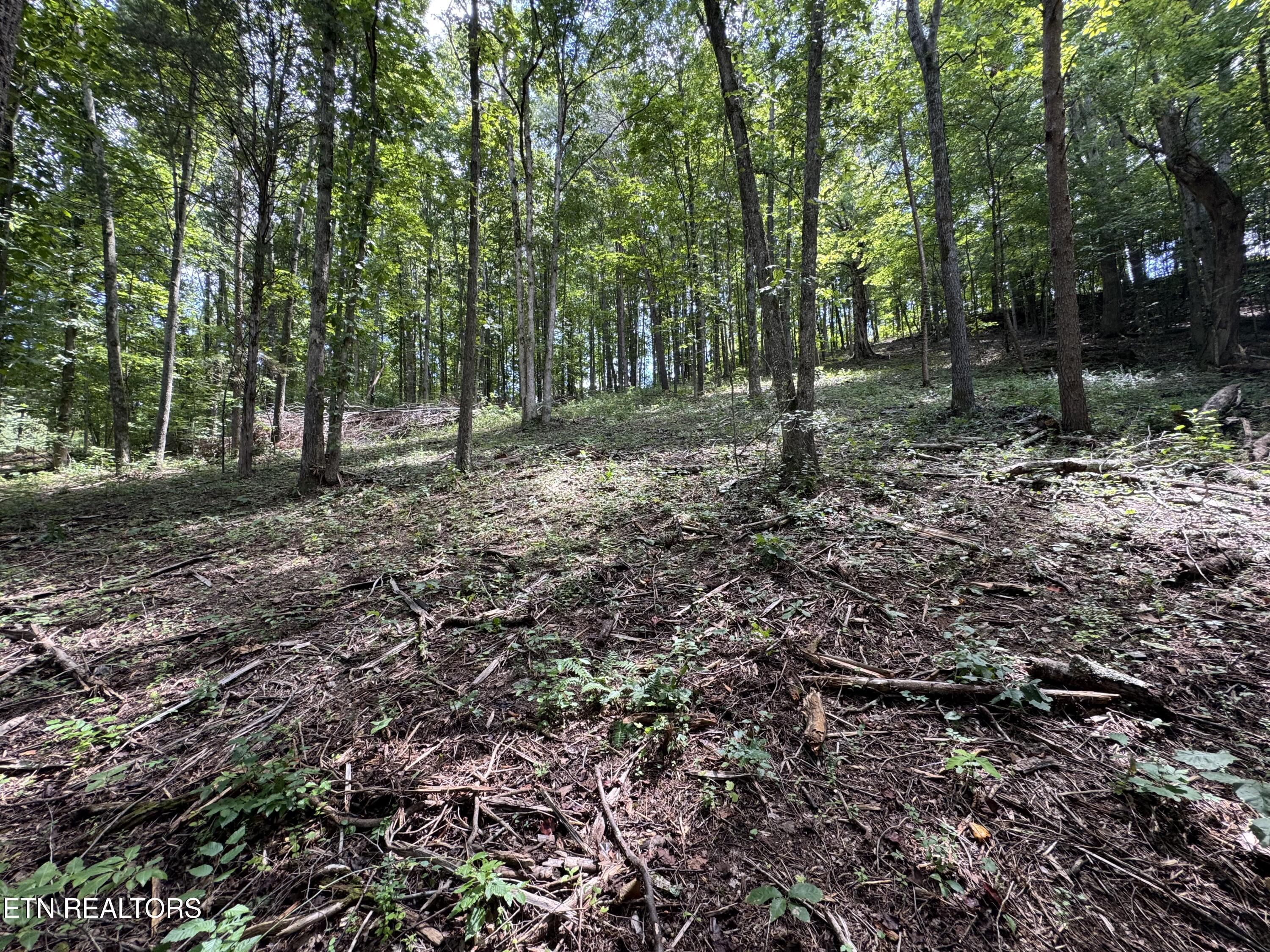 Fort Loudoun and Tellico Lake Real Estate - Image# 47