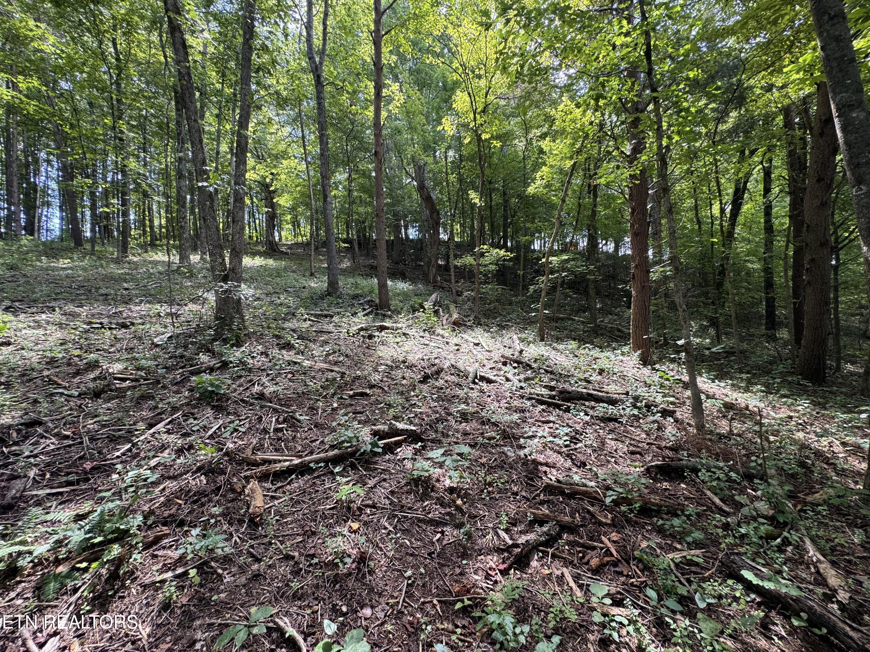 Fort Loudoun and Tellico Lake Real Estate - Image# 49