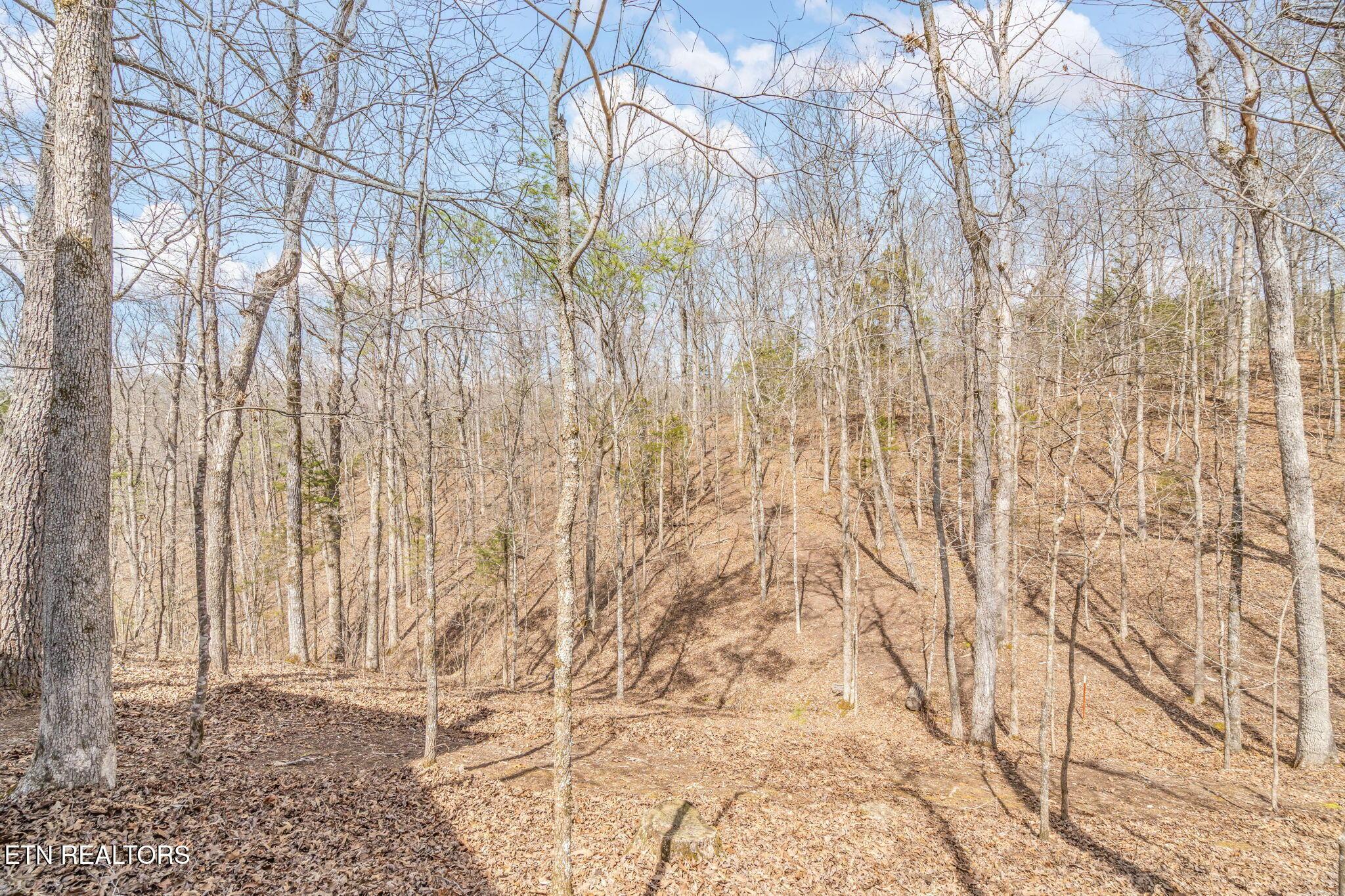 Fort Loudoun and Tellico Lake Real Estate - Image# 59