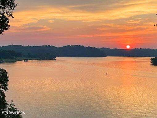 Fort Loudoun and Tellico Lake Real Estate - Image# 41