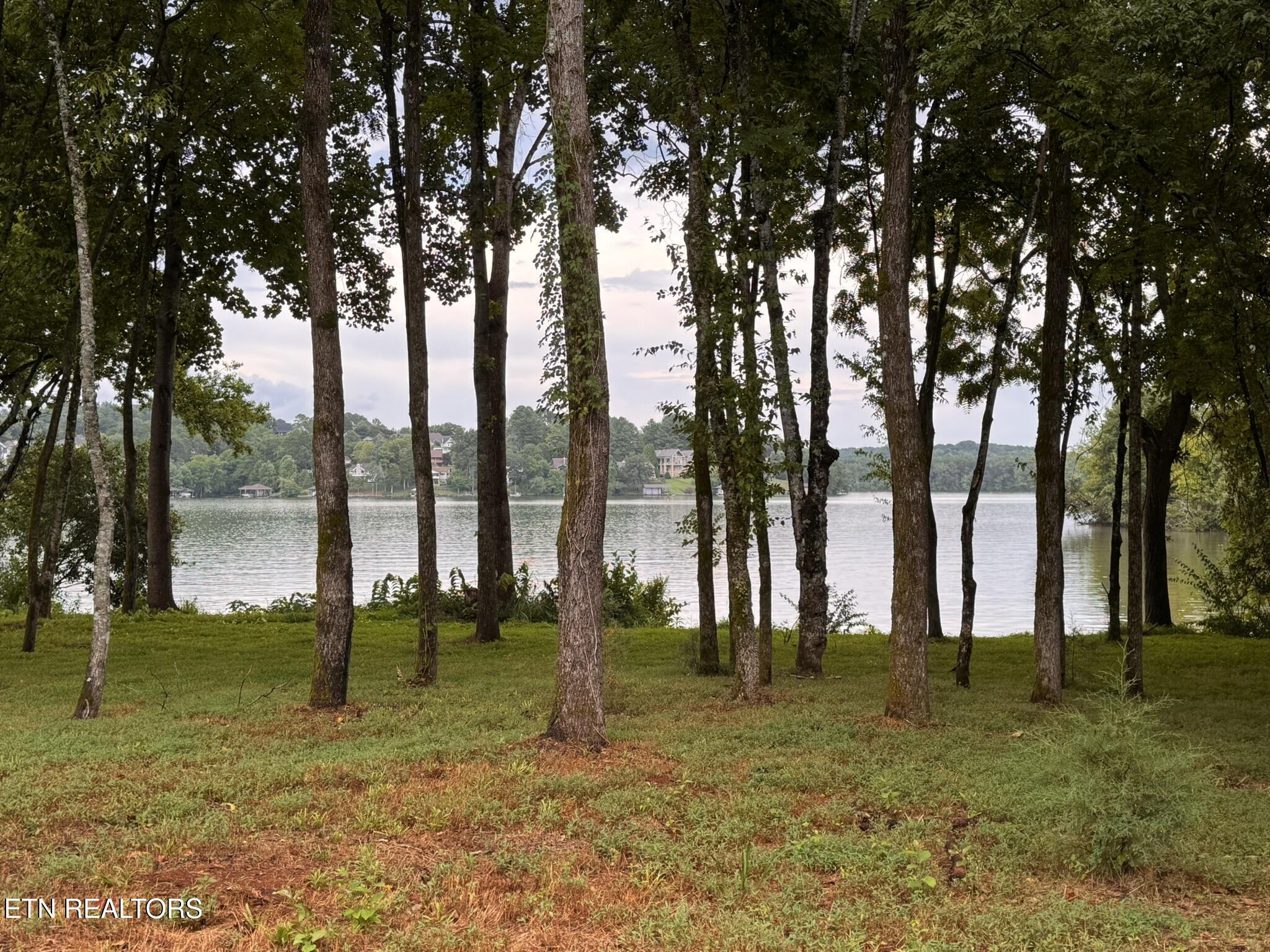 380 Cormorant Drive, Vonore, TN - Fort Loudoun and Tellico Lake Real Estate - Image# 5