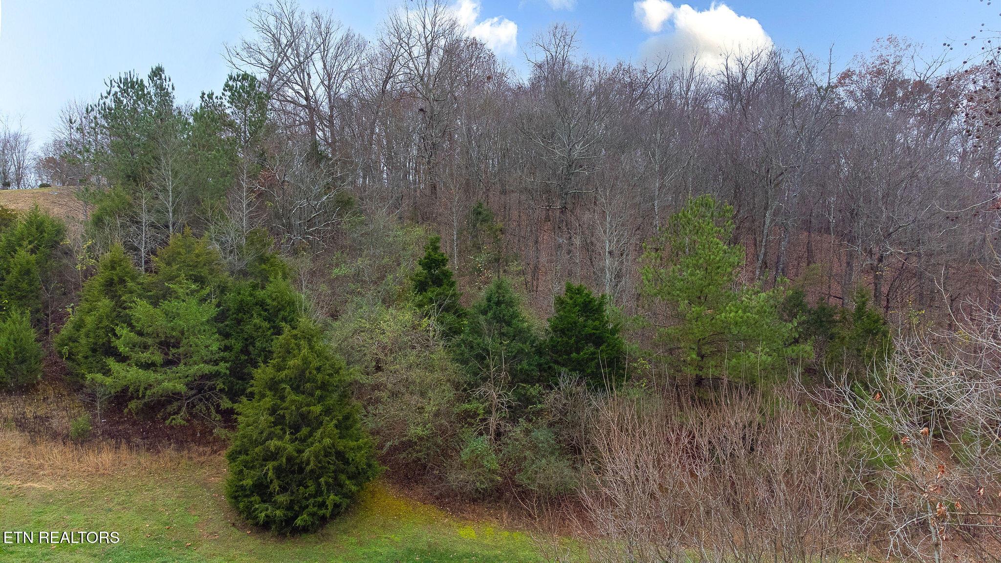 120 Vineyard Cove Drive, Loudon, TN - Fort Loudoun and Tellico Lake Real Estate - Image# 4