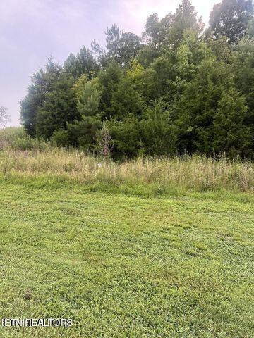 120 Vineyard Cove Drive, Loudon, TN - Fort Loudoun and Tellico Lake Real Estate - Image# 1
