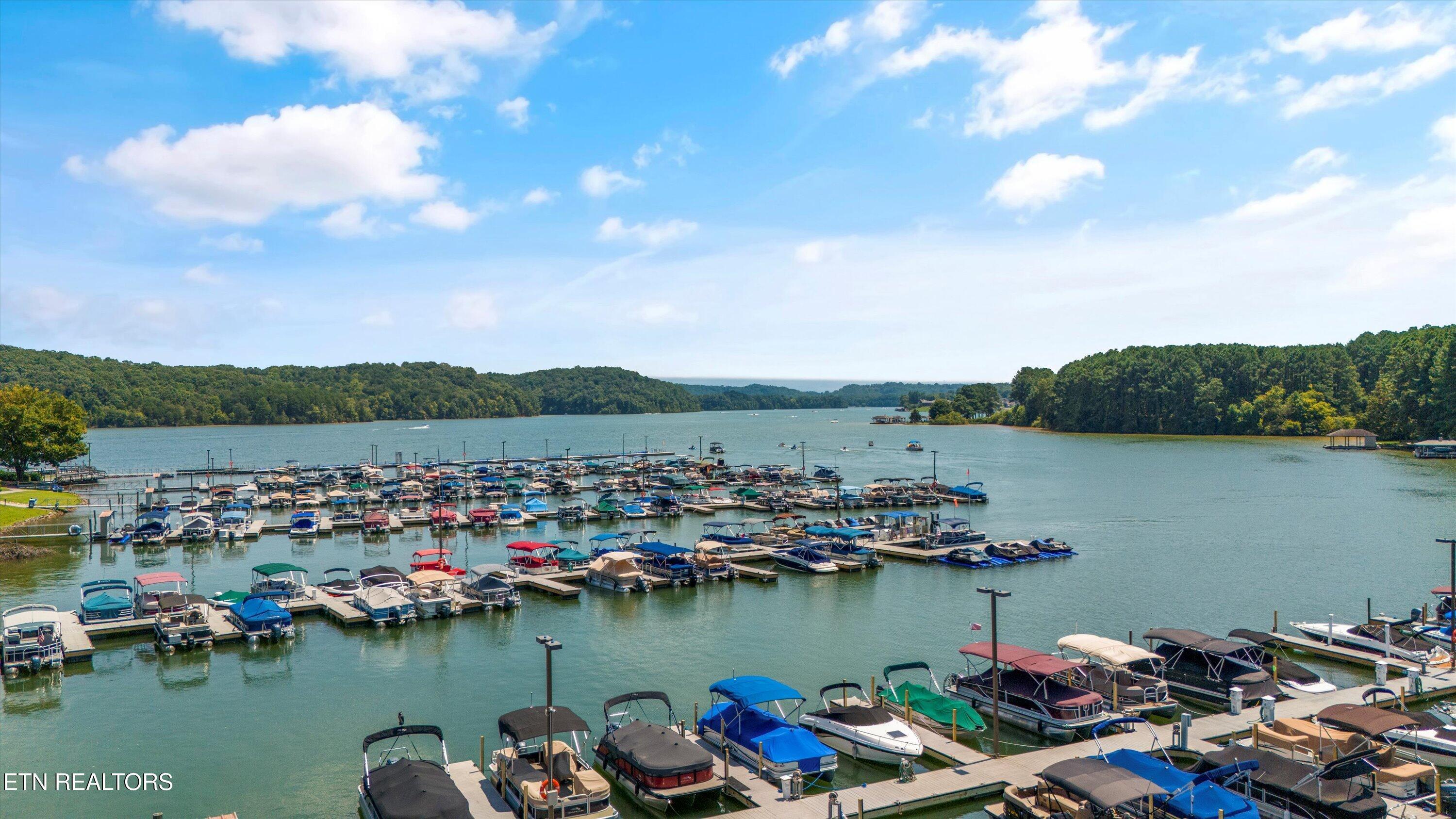 102 Chaloni Lane, Loudon, TN - Fort Loudoun and Tellico Lake Real Estate - Image# 42