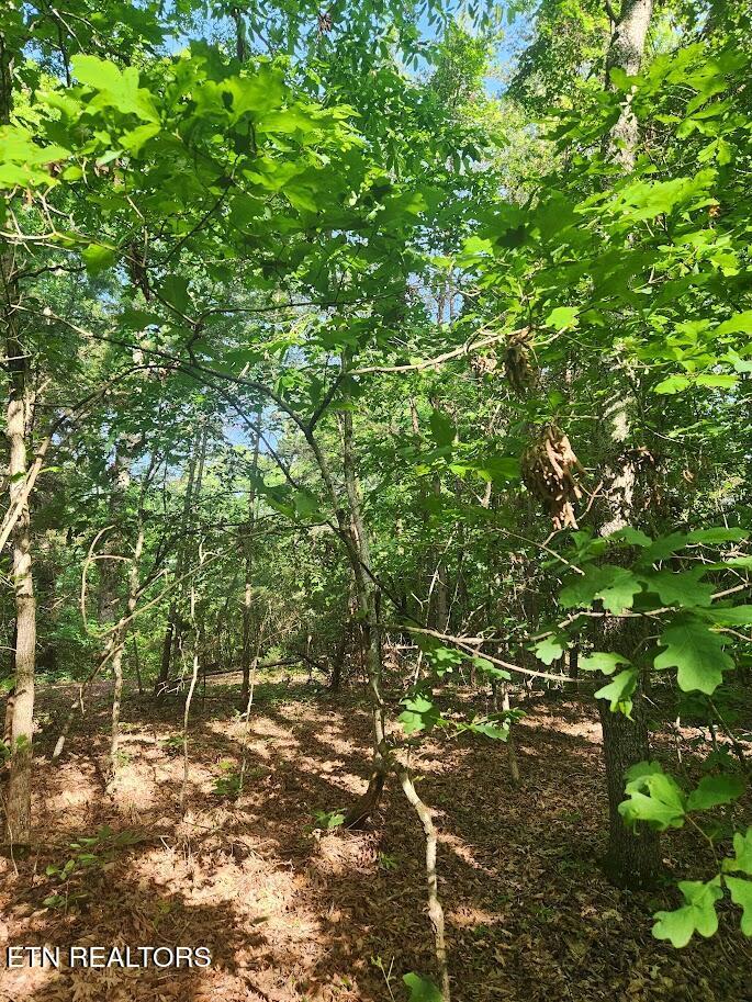 Fort Loudoun and Tellico Lake Real Estate - Image# 8