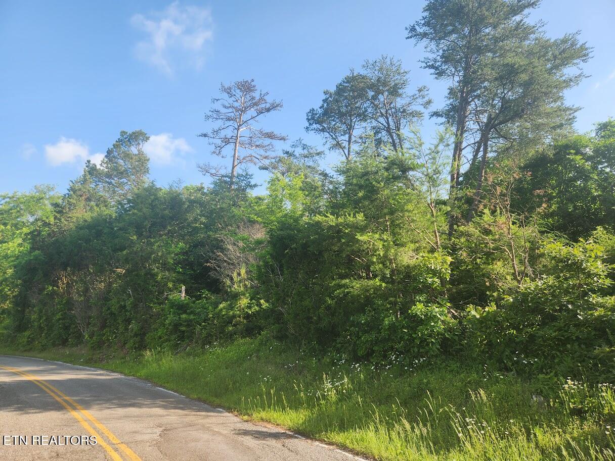 Fort Loudoun and Tellico Lake Real Estate - Image# 16
