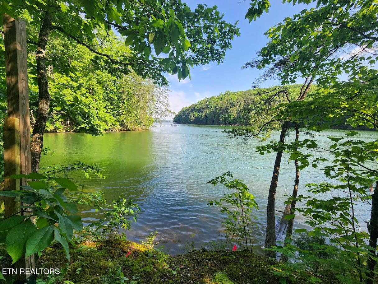 Fort Loudoun and Tellico Lake Real Estate - Image# 20
