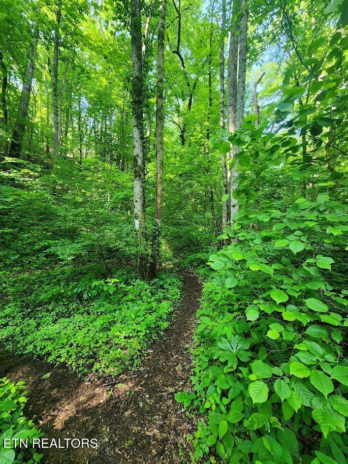 Fort Loudoun and Tellico Lake Real Estate - Image# 25