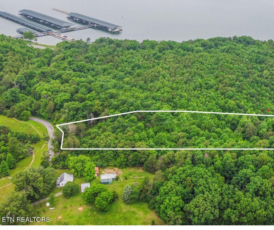 Fort Loudoun and Tellico Lake Real Estate - Image# 32