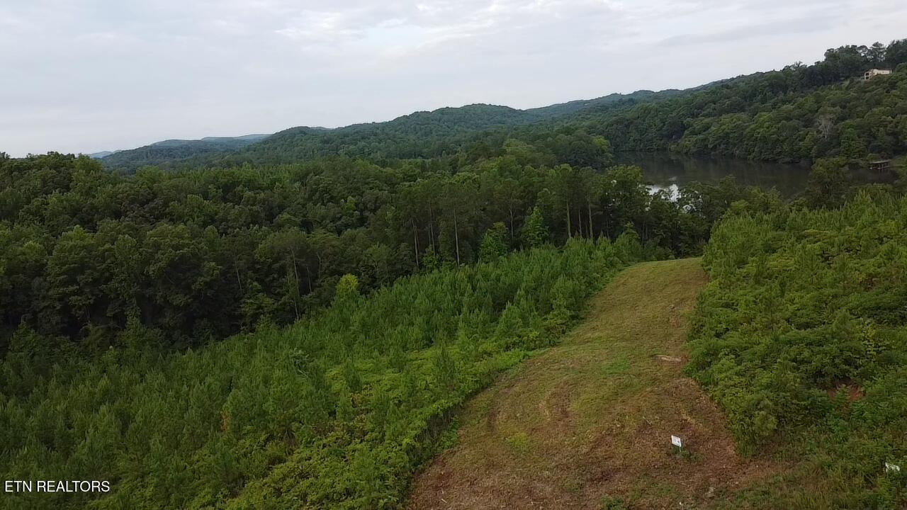 Three Point Rd, Vonore, TN - Fort Loudoun and Tellico Lake Real Estate - Image# 10