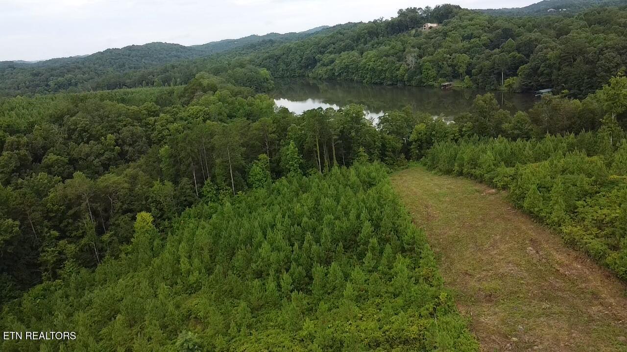 Three Point Rd, Vonore, TN - Fort Loudoun and Tellico Lake Real Estate - Image# 8